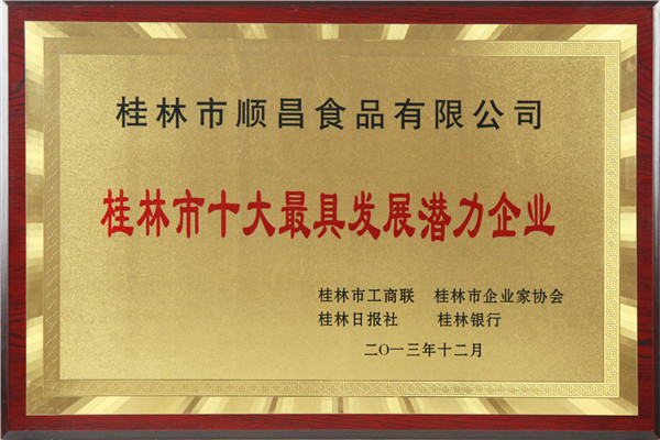 十大最具發(fā)展?jié)摿ζ髽I(yè)獎(jiǎng)牌